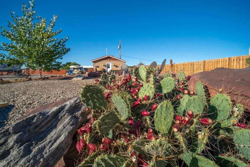 Redrock Moab Tiny House W Large Loft Site 8 Villa Exterior foto